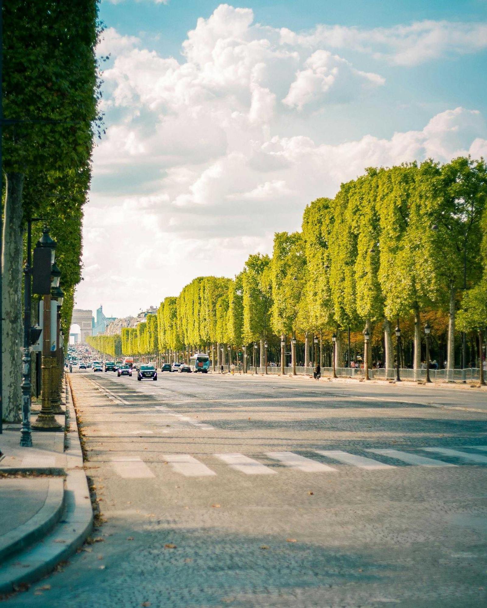 Moderne Champs-elysees - Saint Honore *